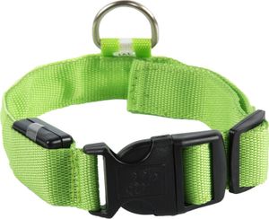 Hundehalsband Leuchthalsband Hund LED USB Aufladbar Akku Halsband Gr. S M L XL Farbe Grün - Aufladbar USB Größe Gr. L (41 - 52cm)