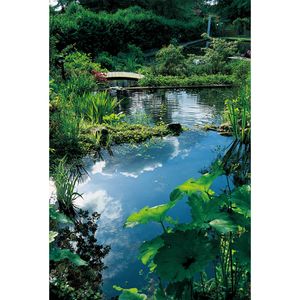 Ubbink Filtermaterial für Teich Lava Vulkansteine 16-32 mm 10 L