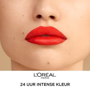 L'Oréal Paris  INFAILLIBLE 24H lipstick #117-perpetual brown