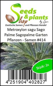 2x Cycas revoluta sagu Sago Palme Sagopalme Garten Pflanzen - Samen #414