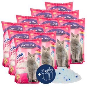 12 x 5 Liter Lyra Pet® Lyra Power®  Silica Silikat Katzenstreu + Geschenk