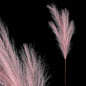 Pampová tráva, ružová farba. KUM3434 PINK
