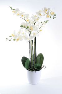 Wackadoo® Kunstblume Orchidee in einer tollen Größe von 80 cm mit real Touch Effekt der Blätter und Blüten in weißem Umtopf, Kunstblumen wie echt, Orchideen künstlich, künstliche Orchideen