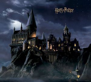 Sanders & Sanders Fototapete Harry Potter Hogwarts Schwarz und Dunkelblau - 601189 - 2.7 x 3 m