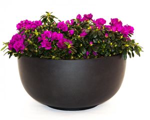 Die Top Produkte - Entdecken Sie hier die Blumentopf 70 cm durchmesser Ihren Wünschen entsprechend