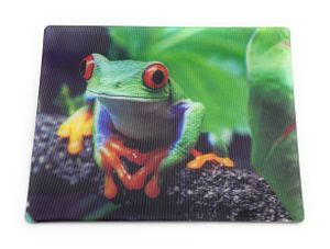 Onwomania Frosch Kröte Froschlurche 9x7cm 3D Magnet Karte Kühlschrankmagnet Magnetbild Heftmagnet Grün