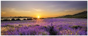 Wallario Premium Glasbild, freischwebende Optik, kräftige Farben, Größe 125 x 50 cm Motiv Sonnenuntergang über dem Lavendel