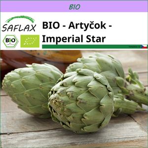 SAFLAX -- Artyčok - Imperial Star - Cynara scolymus - 5 Semena