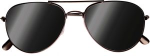 Polizeibrille Pilotenbrille verspiegelt