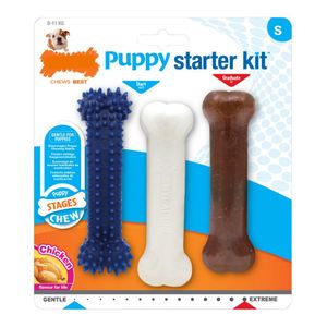 Nylabone Welpe kaut Welpe Starter Kit Huhn