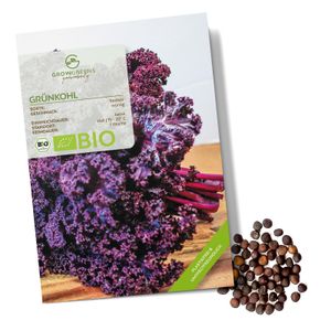 Grünkohl Samen (Redbor, 25 Korn) - Grünkohl Saatgut aus biologischem Anbau ideal für die Anzucht im Garten, Balkon oder Terrasse