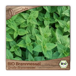 SamenliebeGroße Brennnessel - Kräutersamen | Samenfest & Ideal für Garten und Balkon - 2500 Samen