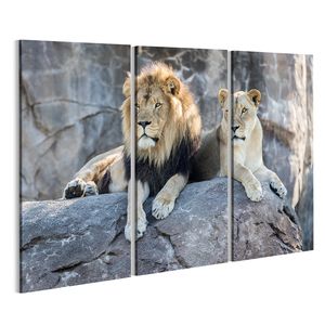 Bild auf Leinwand Männliche Und Weibliche Löwen Sitzt Auf Einem Felsen  Wandbild Leinwandbild Wand Bilder Poster 130x80cm 3-teilig