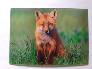 3 D Ansichtskarte Fuchs, Postkarte Wackelkarte Hologrammkarte, Tier Füchse