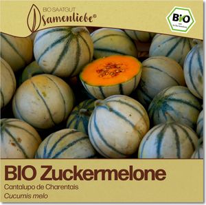 Cantaloupe-Melonen Samen Cantalupo de Charentais Gemüse-Samen Saatgut Cantaloupe-Melonensamen