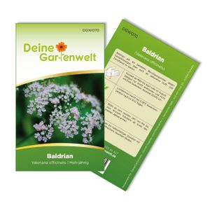 Baldrian  Samen - Valeriana officinalis - Baldriansamen - Kräutersamen - Saatgut für 100 Pflanzen