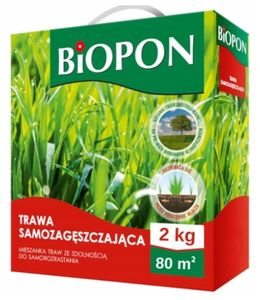 Nasiona trawnika SELF-REGENERUJĄCE Nasiona trawnika Nasiona trawnika 2kg