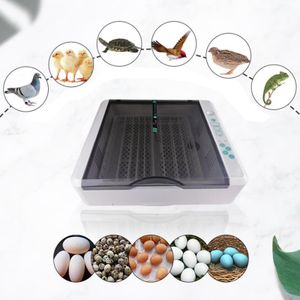 36-80 Eier Inkubator Geflügel Brutmaschine Digitalanzeige Automatisches Drehen mit LED