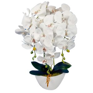 Umelá orchidea Damich, biela, z gumy, 3pgbb