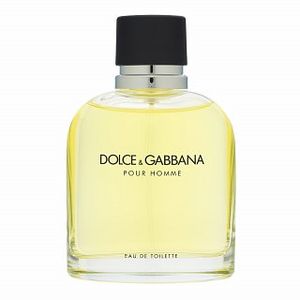 Dolce & Gabbana Pour Homme eau de Toilette für Herren 125 ml