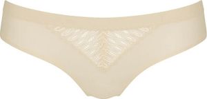 Triumph Aura Spotlight Brazilian CREAMY DREAM 0040 Triumph Aura Spotlight Brazilian CREAMY DREAM 0040