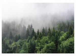 WALD NATUR Vlies Fototapete Wald (254x184cm - 2 Bahnen) Landschaft Nebel Bäume Wohnzimmer Schlafzimmer Wandtapete Tapete UV-Beständig  Montagefertig