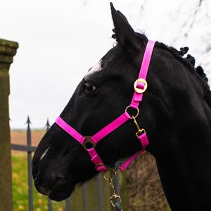 Halfter für Pferd, Größe Kaltblut – Stallhalfter, Kaltbluthalfter Halfter xfull, 2 Fach verstellbar, Farbe pink