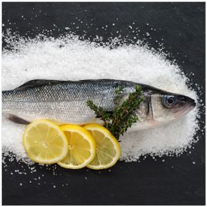 Wallario Magnet für Kühlschrank / Geschirrspüler, magnetisch haftende Folie - 60 x 60 cm, Motiv: Fischmenü - Frischer Fisch auf Salz mit Zitronen
