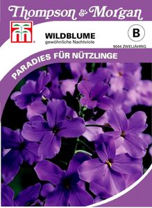 Wildblume Gewöhnliche Nachtviole | Wildblumensamen von Thompson & Morgan