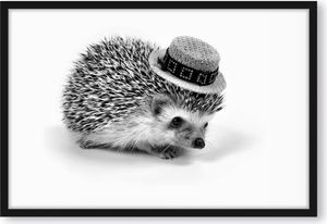 Lustiger Igel mit Hut Poster im Bilderrahmen / Format: 55x40cm / Kunstdruck gerahmt