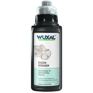 WUXAL® Eisendünger 250 ml für 62,5 Liter Gießwasser