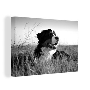 OneMillionCanvasses® - Leinwandbilder - 120x80 cm, Berner Sennenhund im Gras liegend - schwarz und weiß, Wandbilder Kunstdruck Wanddekoration - Wanddekorationen - Wohnzimmer