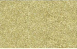 Elefantenhaut 110g/qm A4 VE=100 Blatt chamois