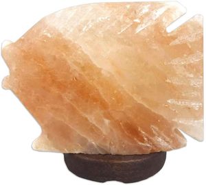 SudoreWell® Salzkristall Lampe Salzlampe 'Fisch' aus der Salt Range Pakistan