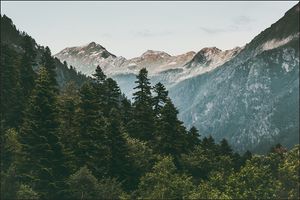 Muralo Fototapete Gebirge 416 (B) x 290 (H) cm Vlies Tapete Wandtapeten Berge Wald Ausblick Wohnzimmer Schlafzimmer moderne Wandbilder XXL Natur Landschaft Panorama Wand Dekoration