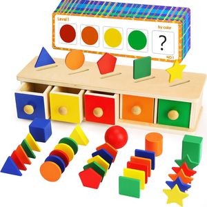 Sortierspiel Montessori Spielzeug mit Aufbewahrungsbox, Lernspielzeug, Holzspielzeug Puzzlespiel für Kinder ab 1 2 3 4 Jahren