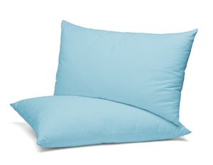 BEAUTEX 2er Set Kissenbezug,(80x80 cm, Hellblau) Kissenhülle aus gekämmter Baumwolle, Premium Jersey 160g/m², Größe und Farbe wählbar