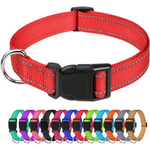 Amorxia Nylon Hundehalsband, Verstellbares Reflektierendes Hundehalsband mit Sicherheitsschnalle für Kleiner Hund - Rot||M