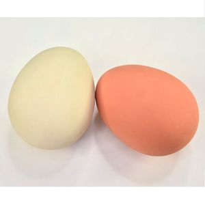 Ostereier Flummi-Ei 2 Stück (weiß und braun ) -Gummi-Ei zum Eierlaufen, Flummi Ei , Hüpfei-Gummiei, Kinder Mitgebsel Scherzartikel , Originalgröße als Ei, Dekoeier,