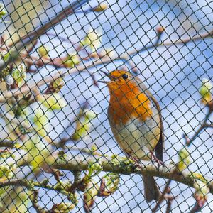 Vogelschutznetz 12 x 25m Laubschutznetz Gartennetz Teichnetz Obstbaumnetz Schutznetz sehr stark 15 g/m2