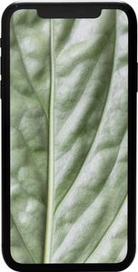 iPhone 11 64GB Black Premium Refurbished