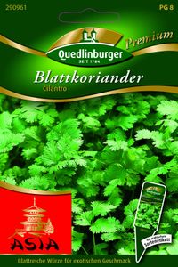 Quedlinburger Saatgut - Koriander Blatt Cilantro - Samen - 290961