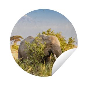 MuchoWow® Gartenposter Outdoor-Poster Rund Elefant im Schutz eines Busches Ø 120 cm Gartendeko Rundes Poster draußen