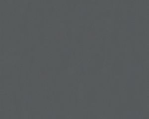 A.S. Création Vliestapete MeisterVlies 5 die glatte Wand grau 10,05 m x 0,53 m 309549