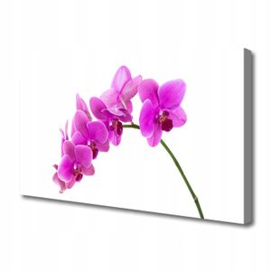 Leinwandgemälde Orchidee Blume Orchidee 120x60