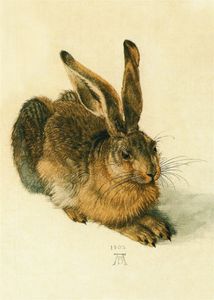 Kunstkarte Albrecht Dürer "Der Hase"