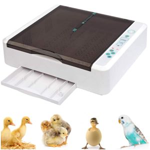 Vollautomatischer Inkubator 36 Digital Clear Egg Inkubator, Auto Flip Eierbrutkasten mit LED Temperatur Feuchtigkeitsregulierung zum Geflügel Enten Gänse Hühner Wachteln Reptilien,36egg(EU-Stecker)