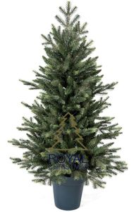 Royal Christmas Künstlicher Weihnachtsbaum Mini im Topf 105 cm | inklusive LED-Beleuchtung über Netzstrom