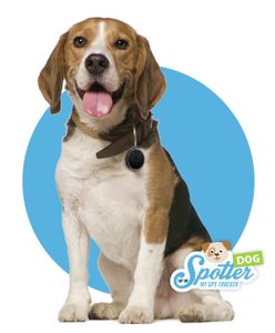 Pet Spotter | GPS tracker pre psov | Na upevnenie na obojok | Sledovač aktivity | Bez mesačného predplatného