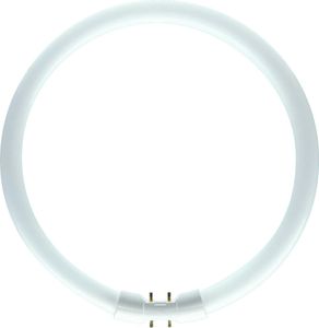 Signify MASTER TL5 Circular - žiarivka - Príkon EM 25°C, nominálny: 22 W - Štítok energetickej účinnosti (EEL): A 64221925